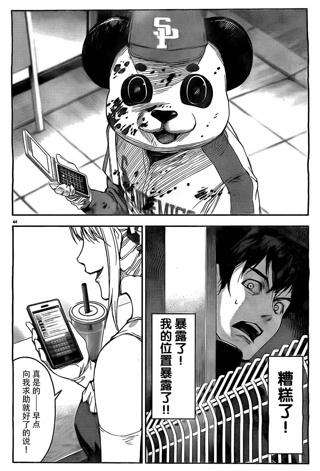 第 43 页
