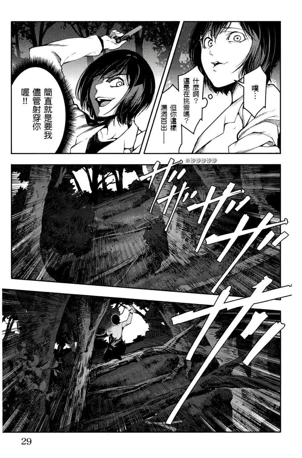 第 30 页