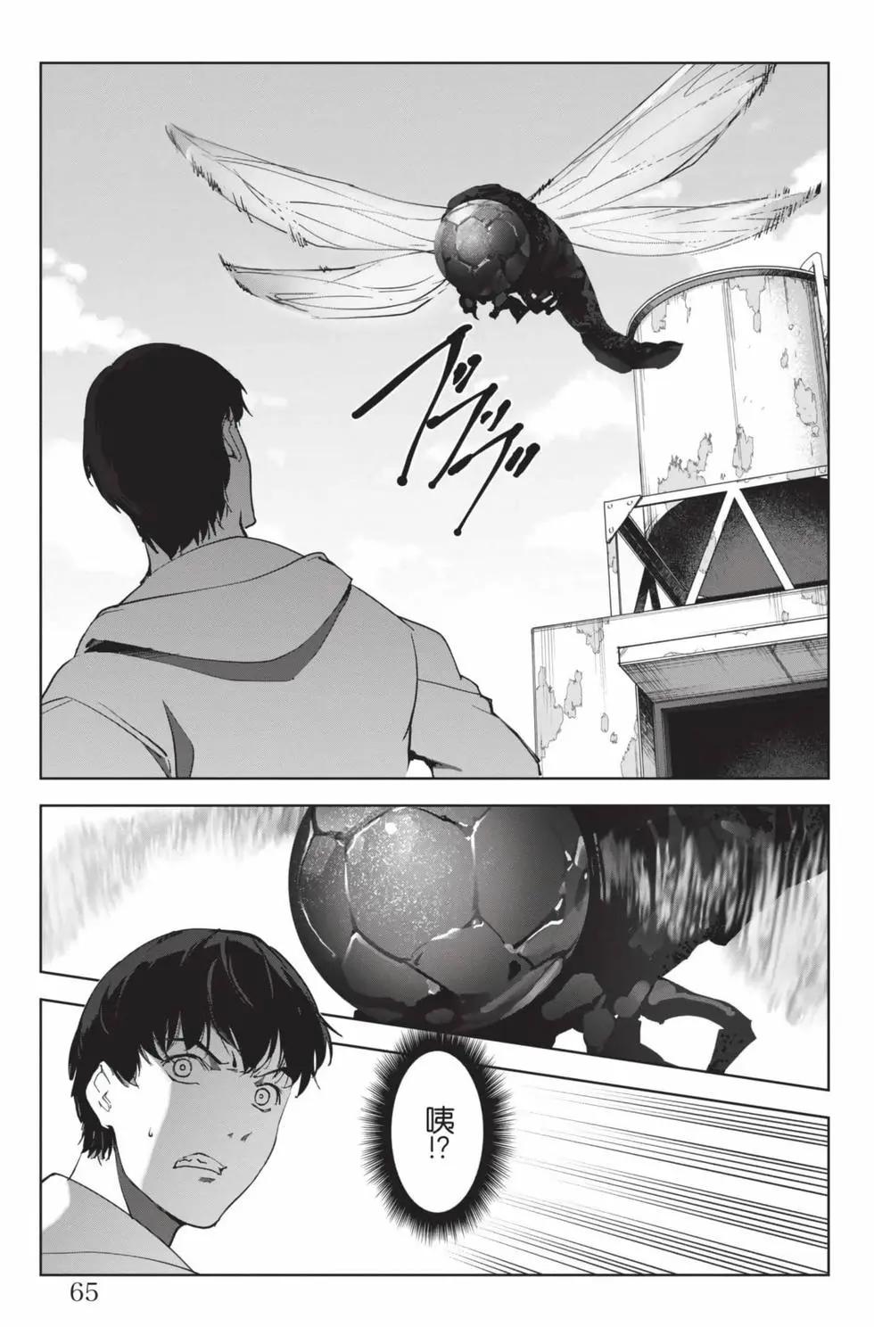 第 66 页