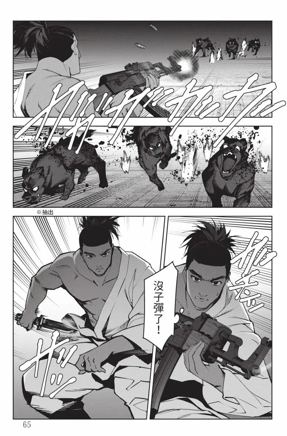 第 66 页