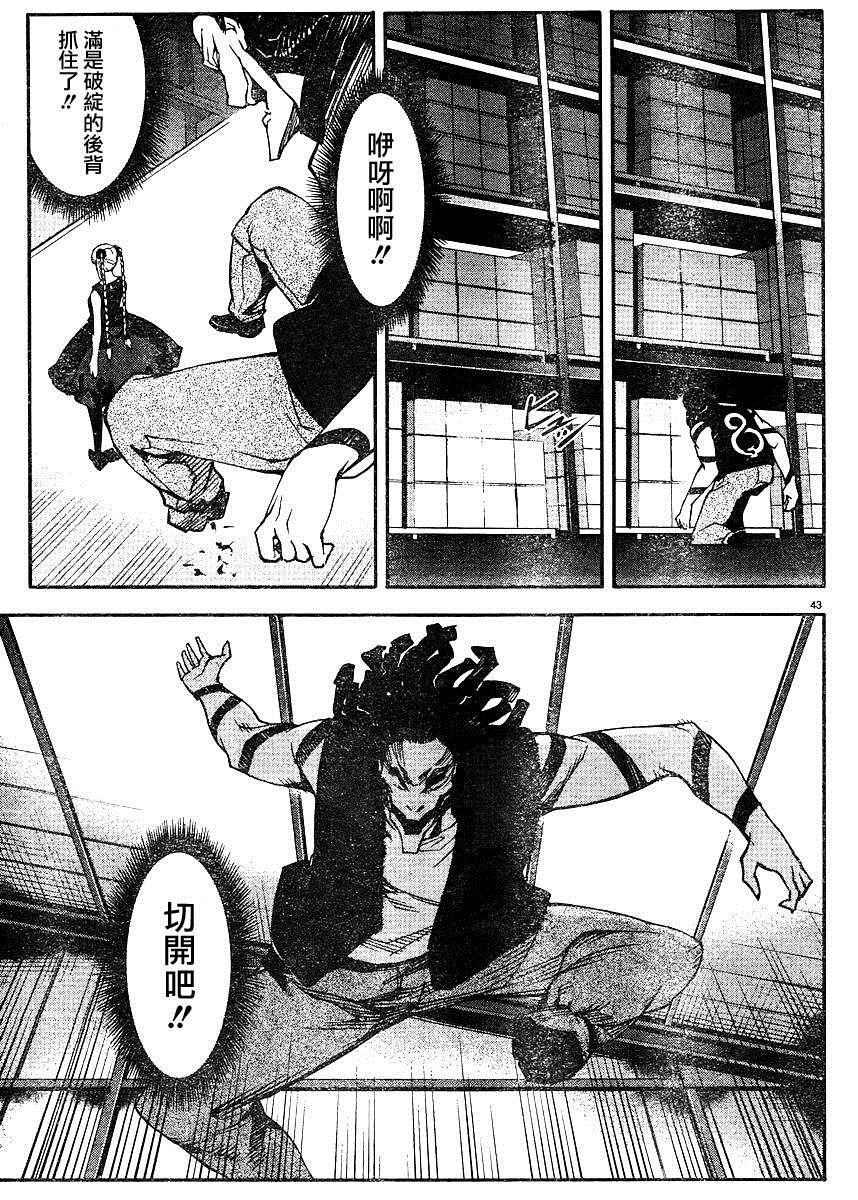 第 43 页