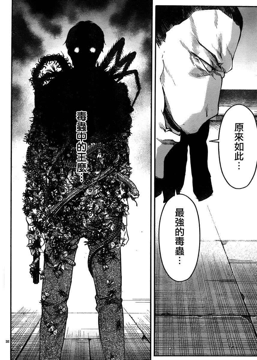 第 31 页