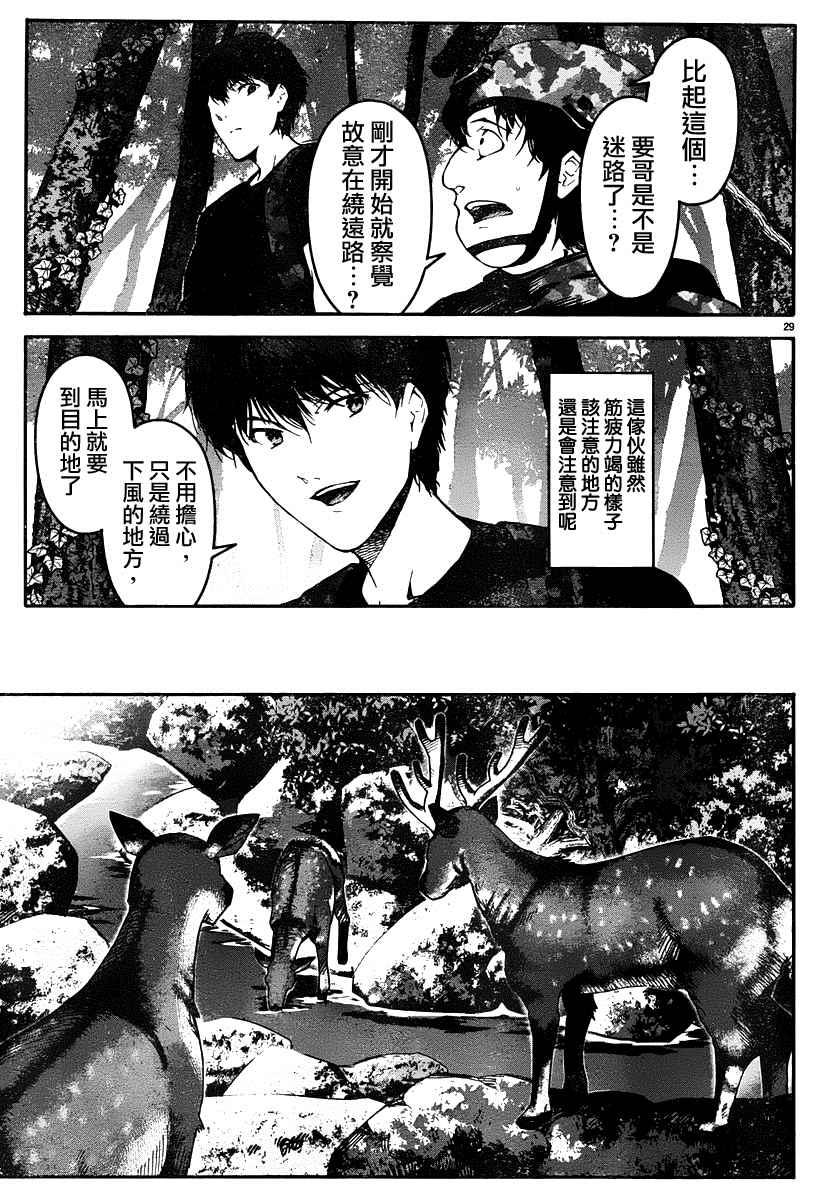 第 29 页