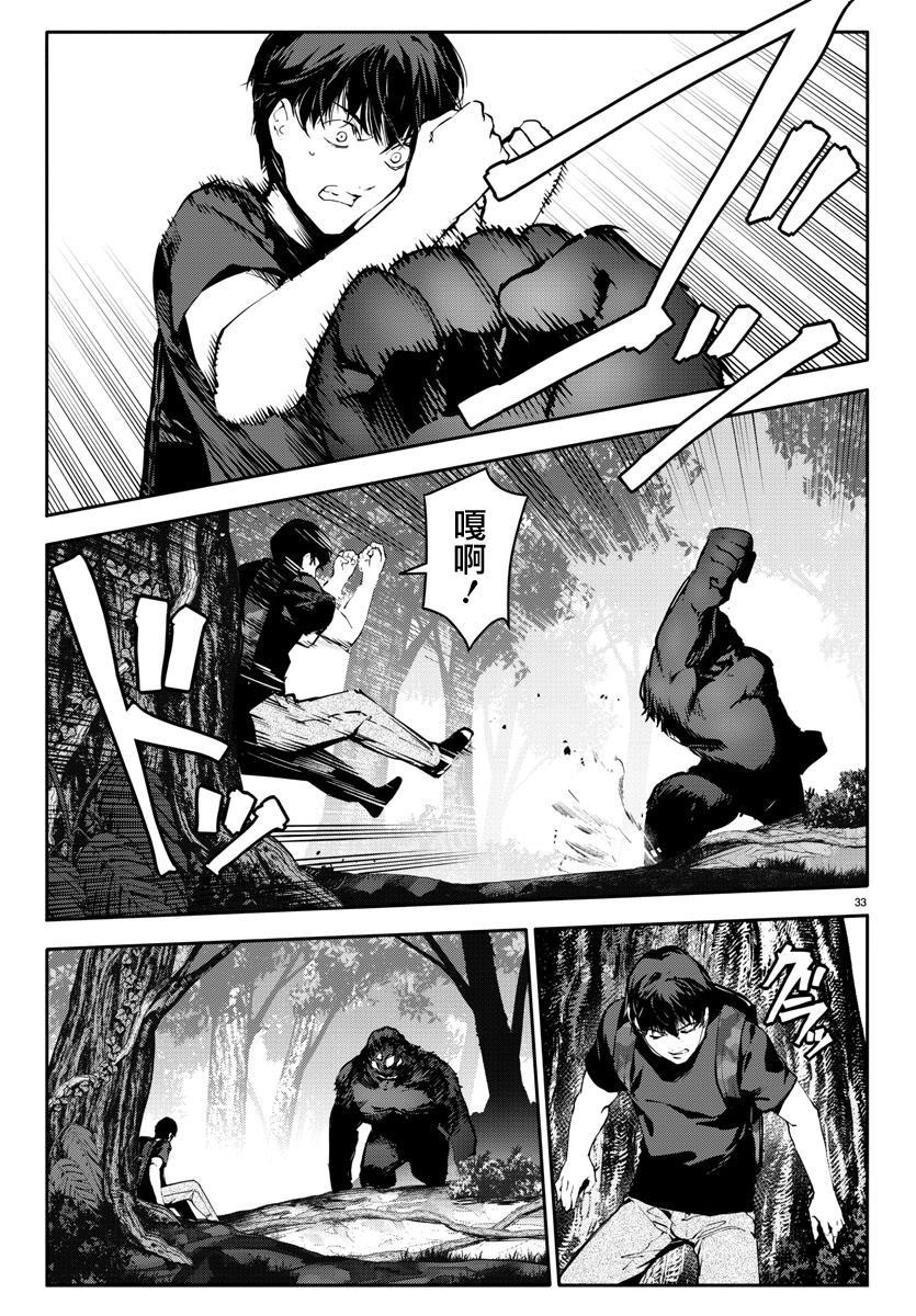 第 33 页
