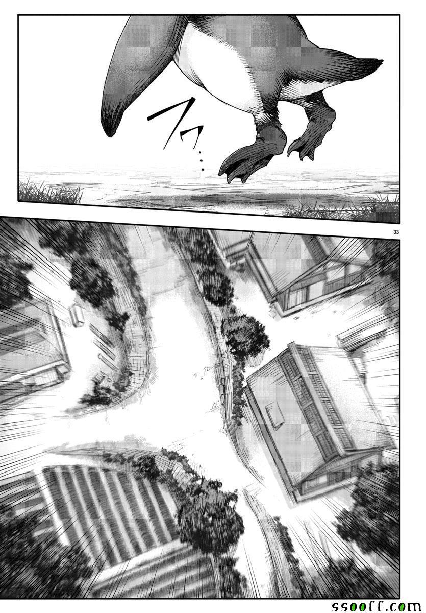 第 33 页