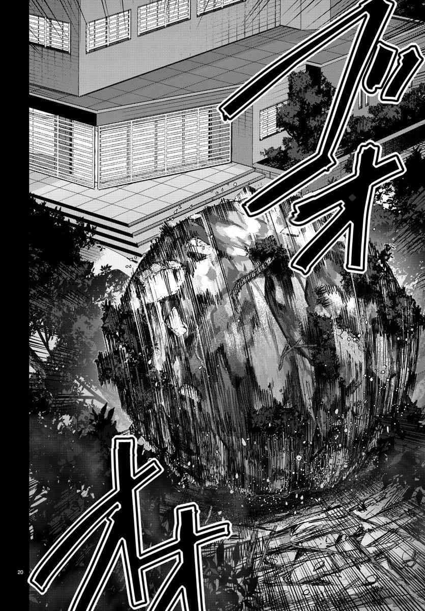 第 20 页