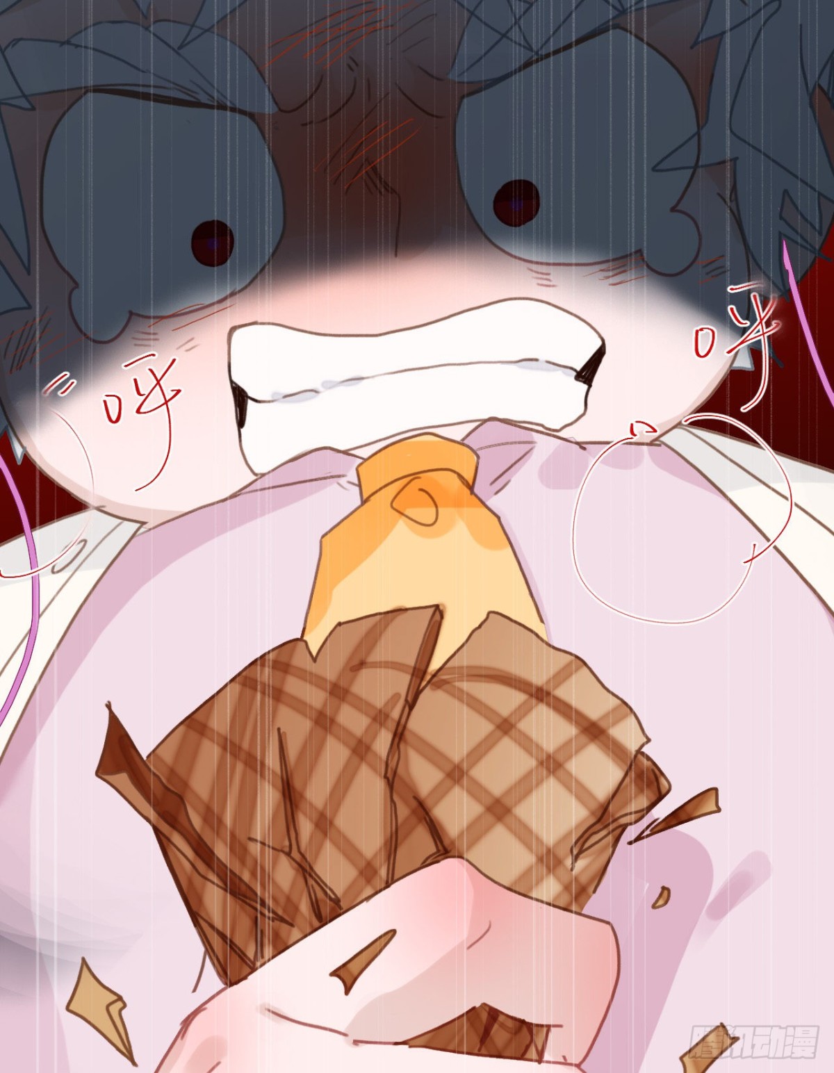 第 41 页