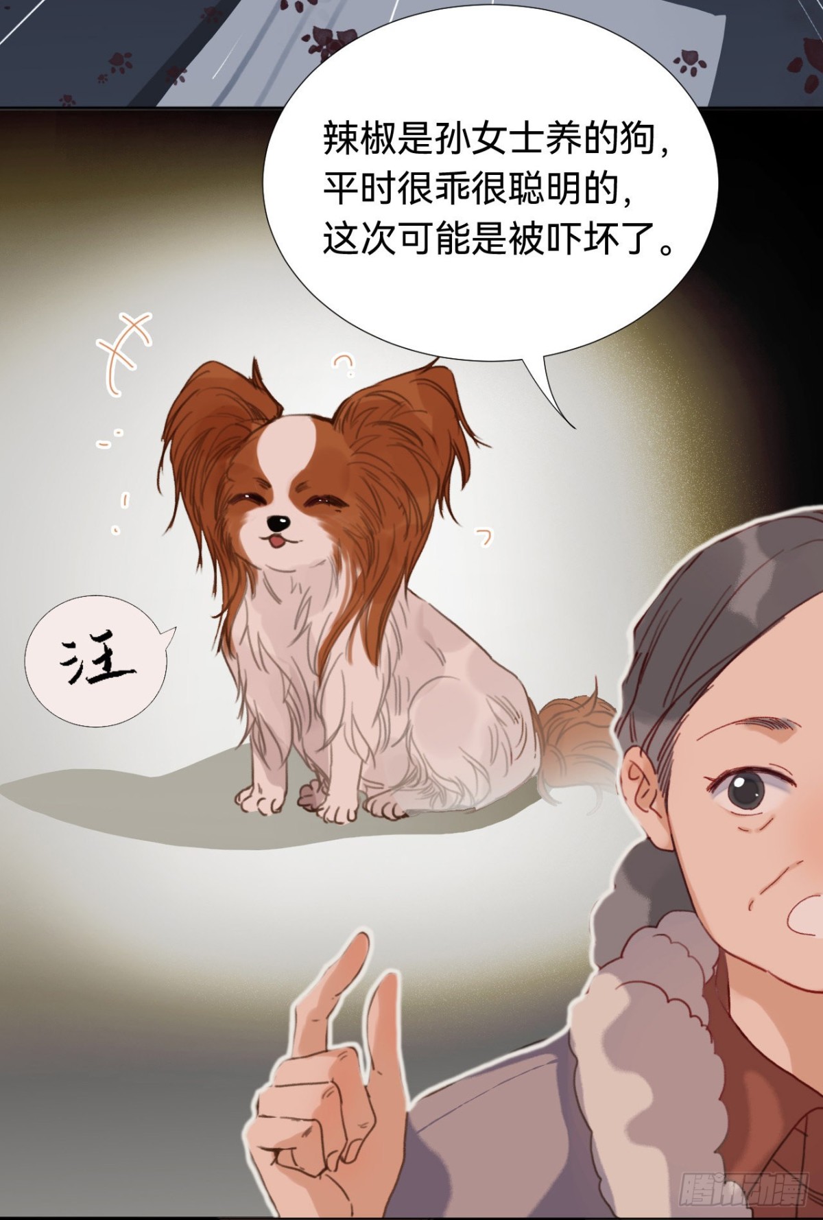 第 47 页