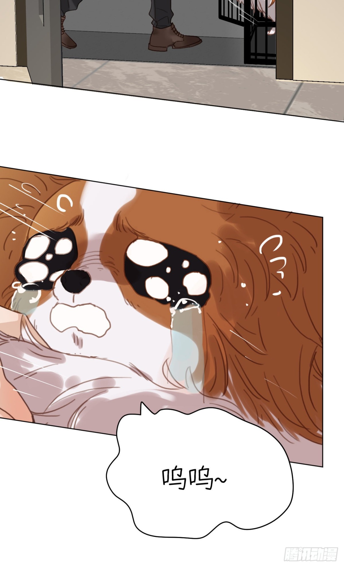 第 48 页