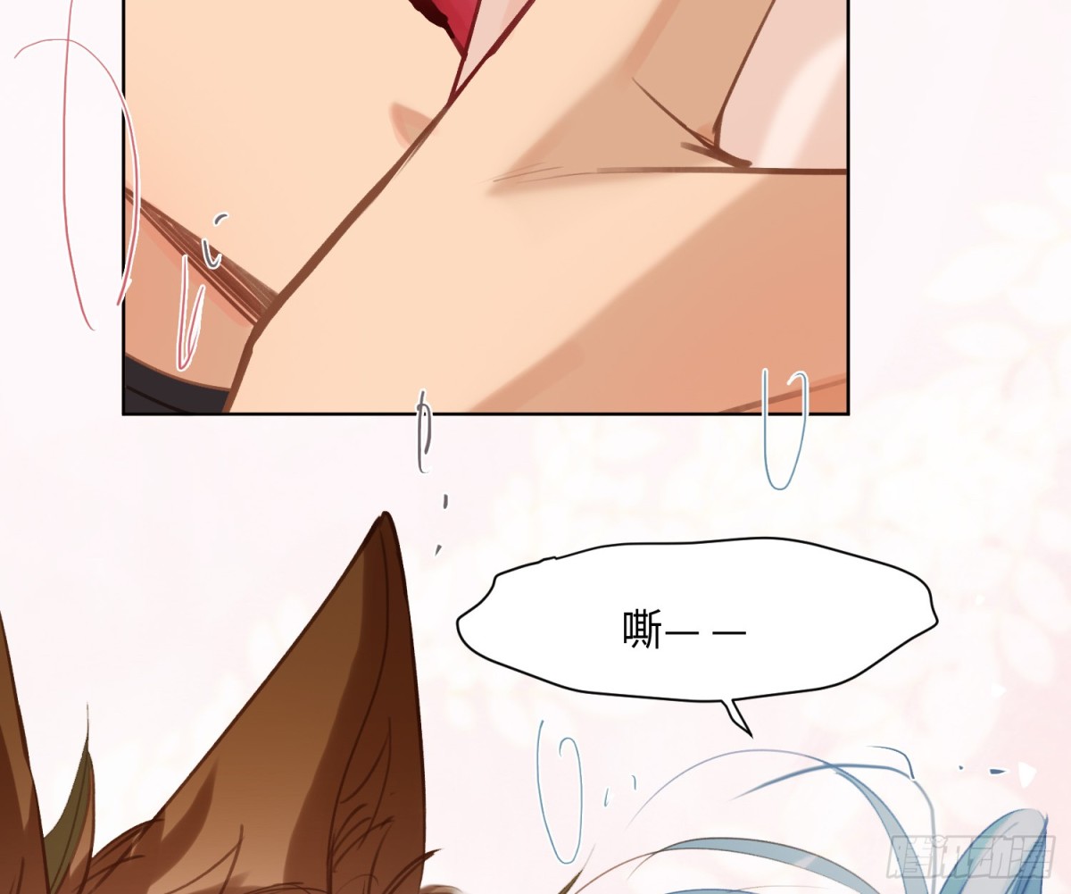第 74 页