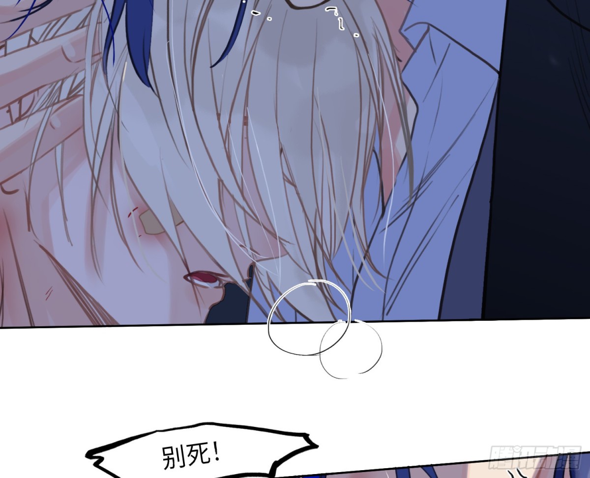 第 47 页