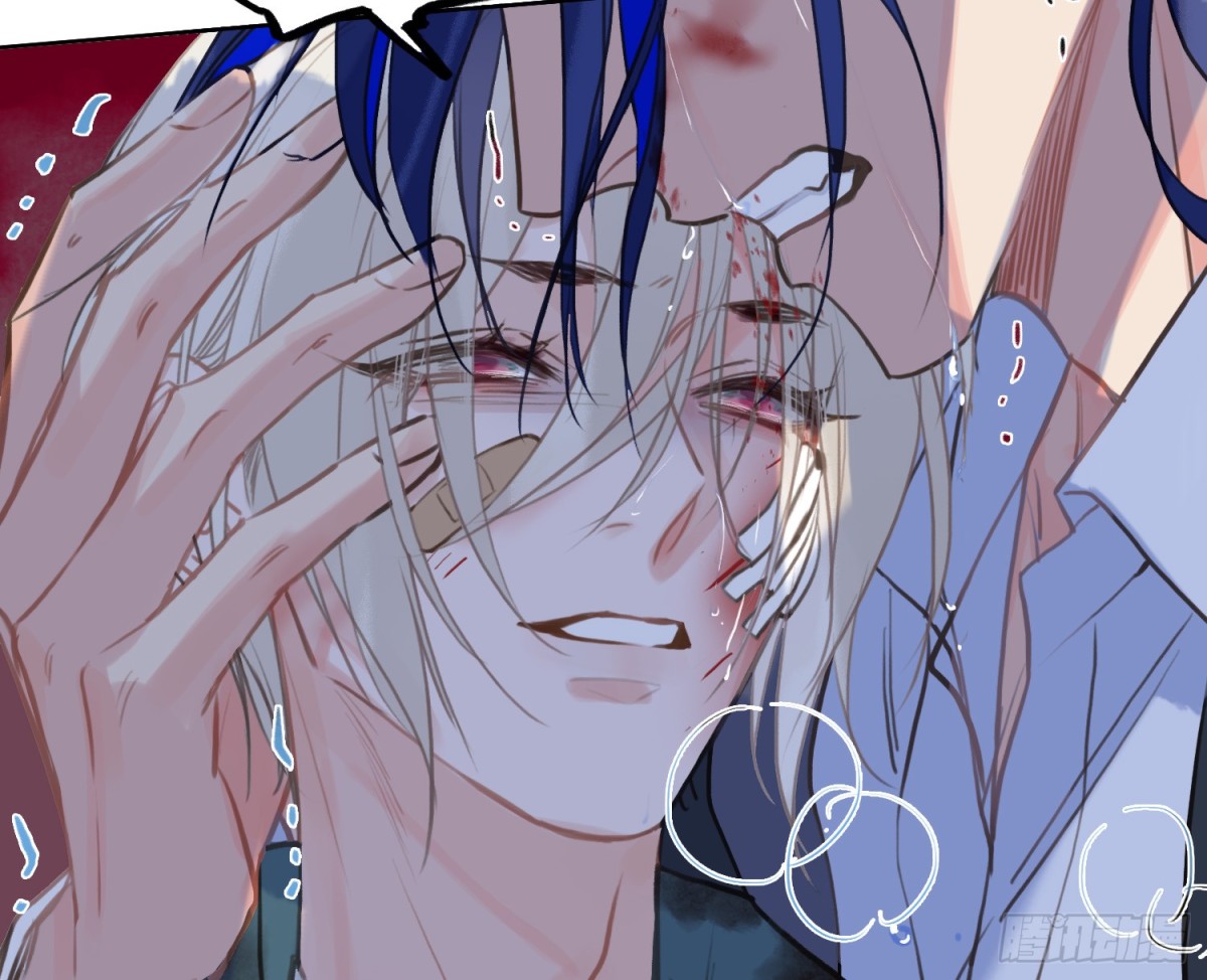第 48 页