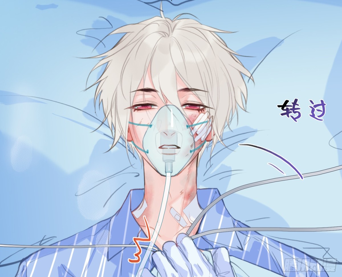 第 48 页