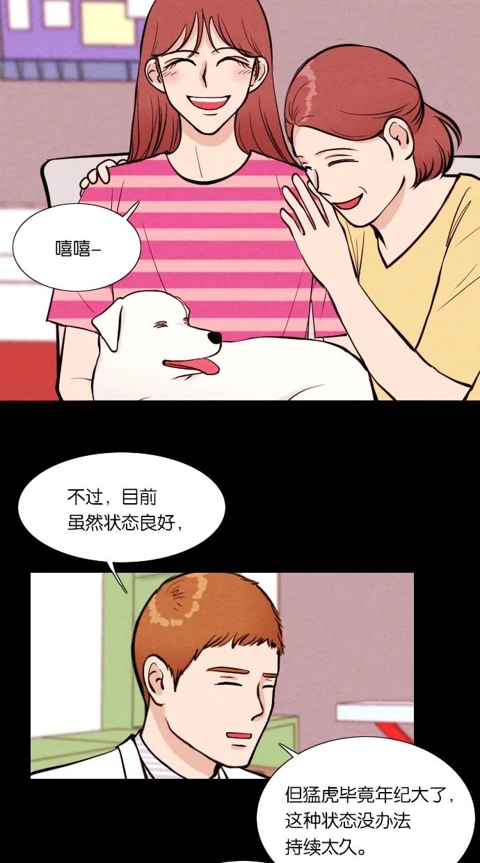 第 41 页