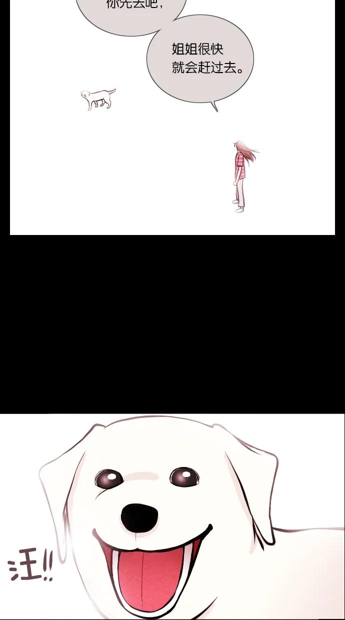 第 48 页