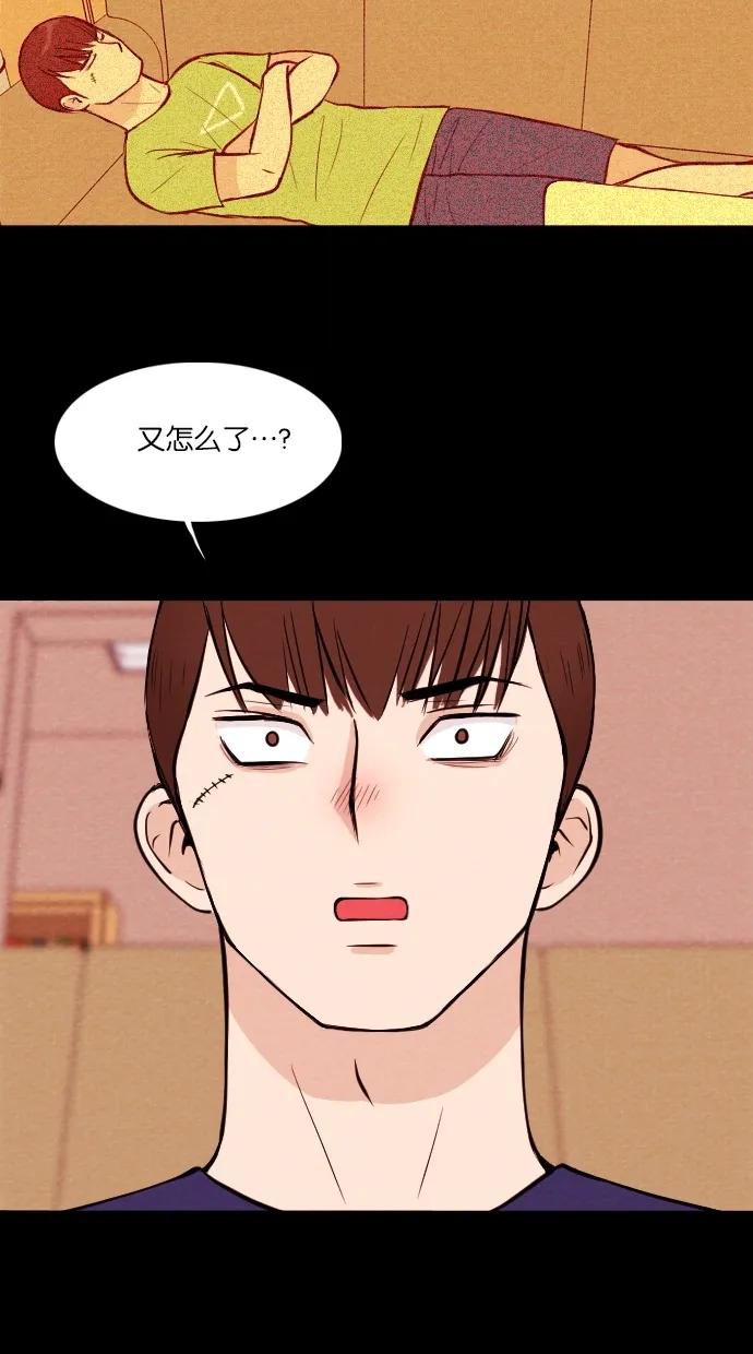 第 44 页