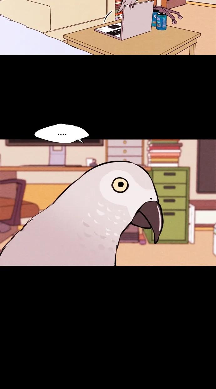 第 42 页