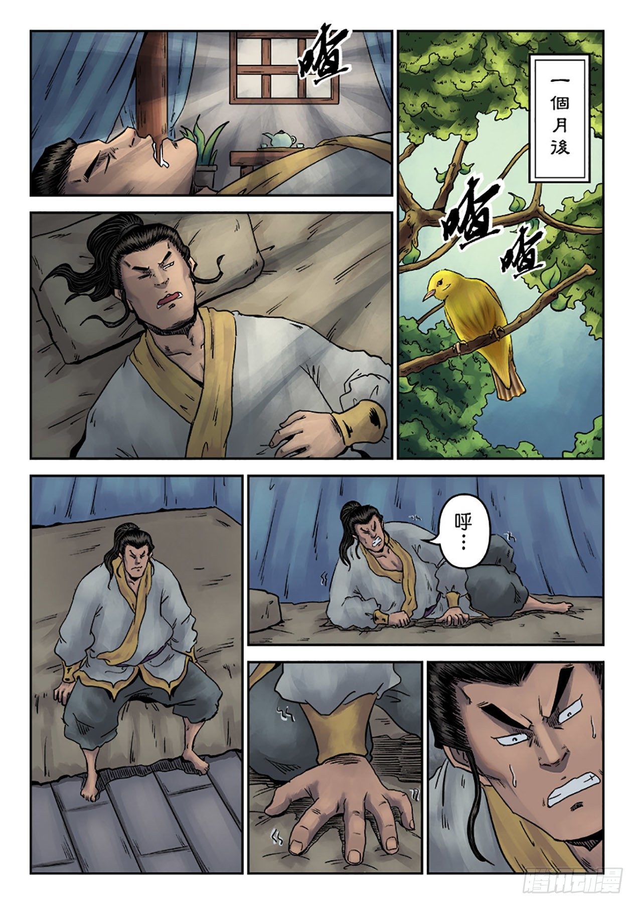 第 11 页