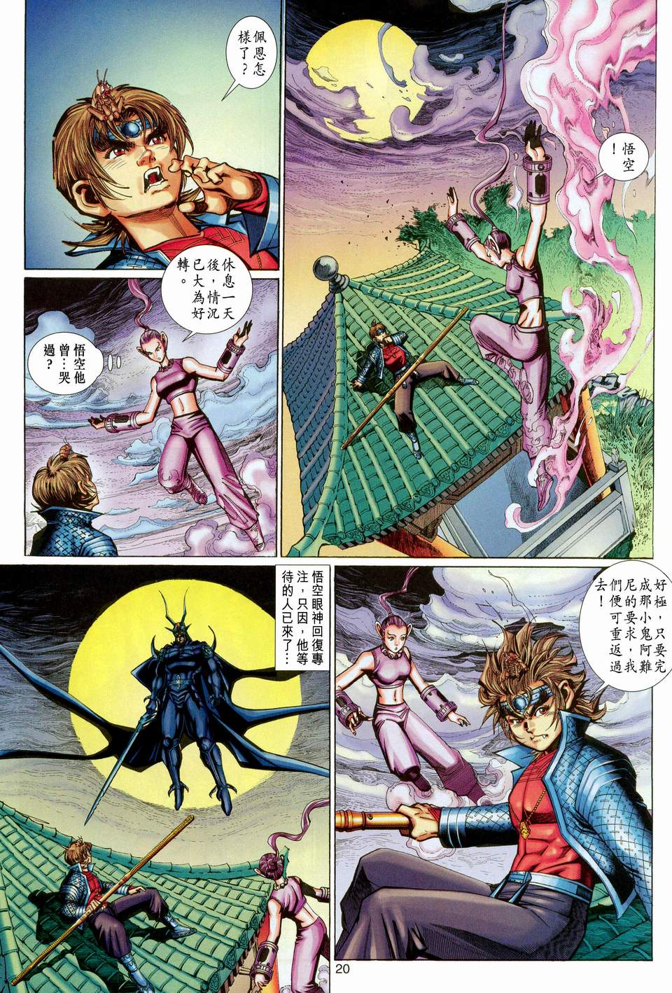 第 20 页