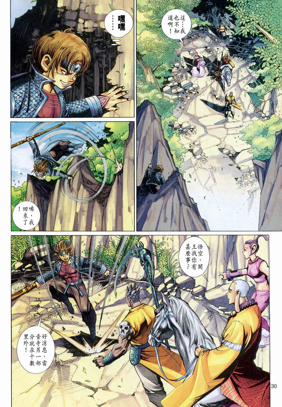 第 30 页