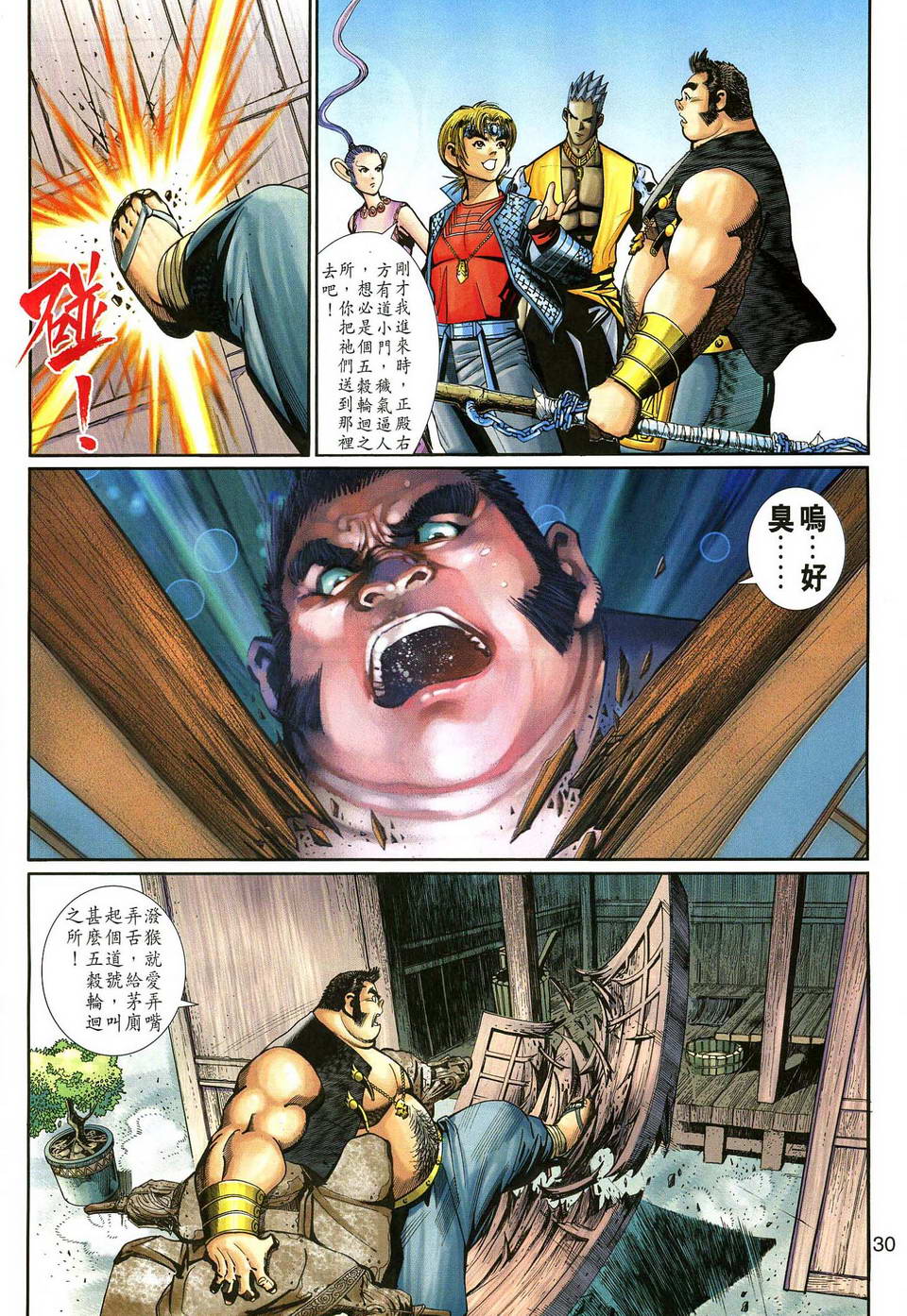 第 30 页