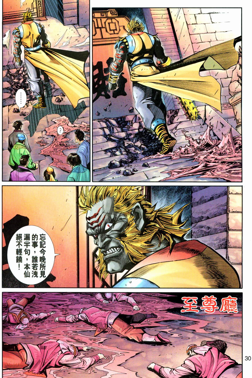 第 30 页