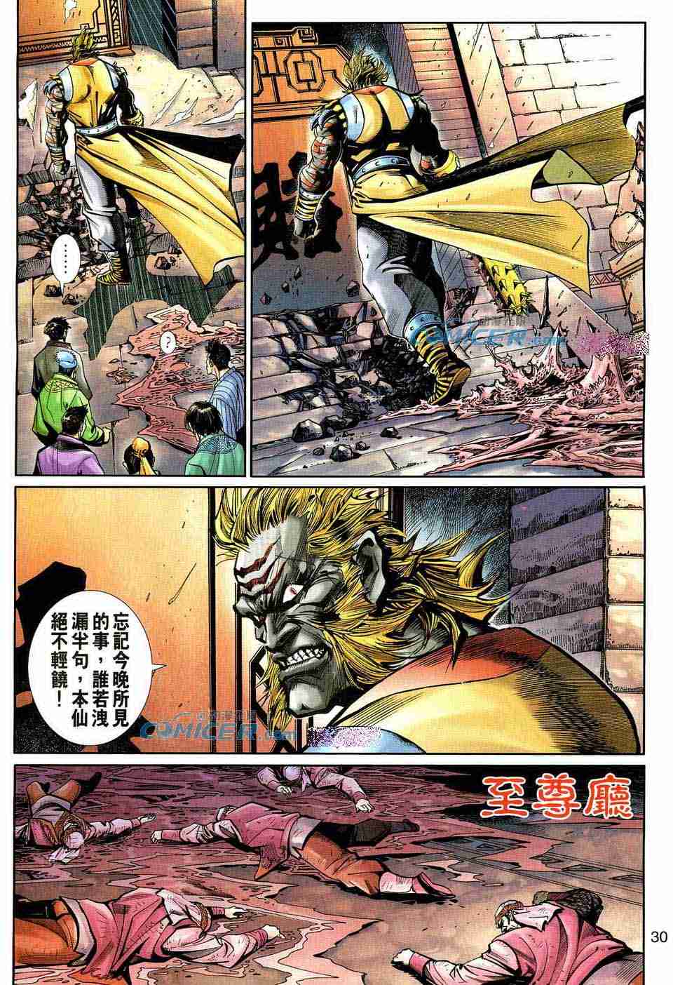 第 30 页