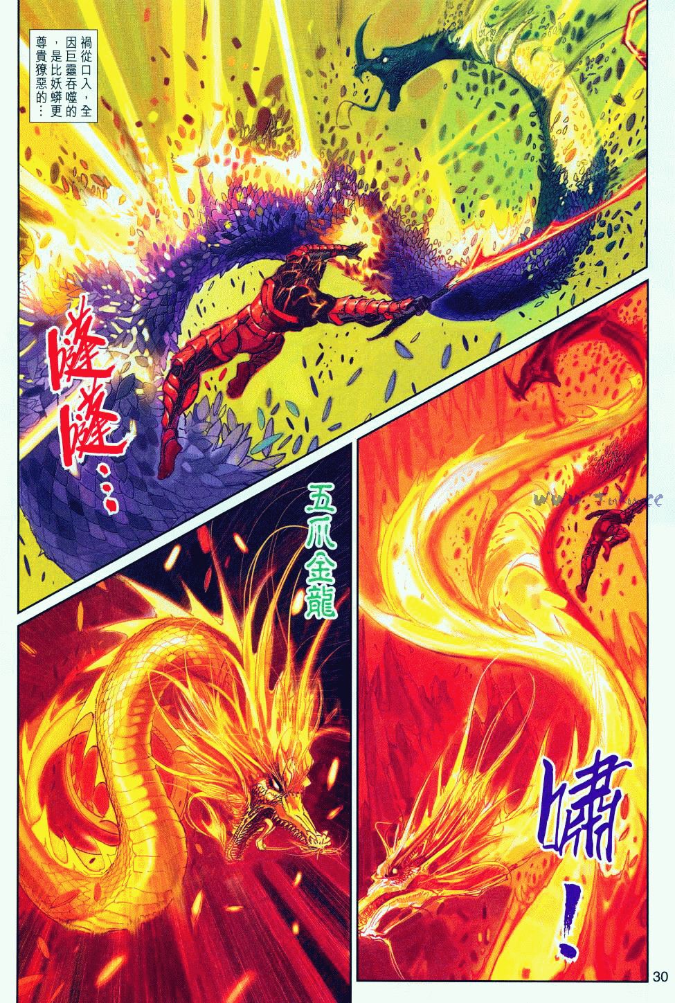 第 30 页