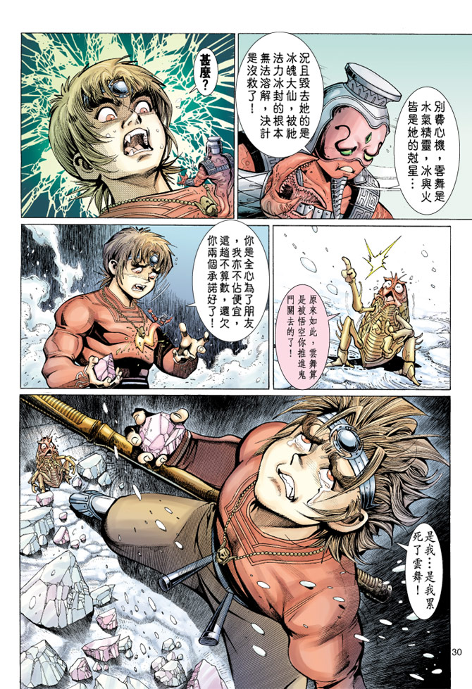 第 30 页