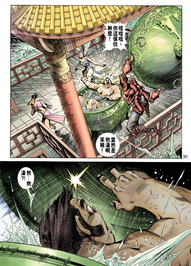第 30 页