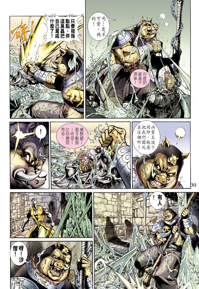 第 30 页