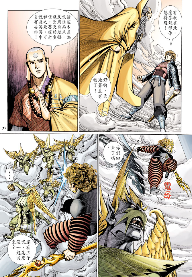 第 25 页