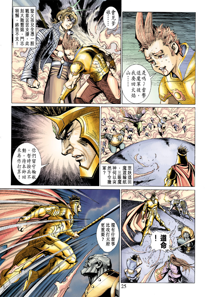 第 25 页