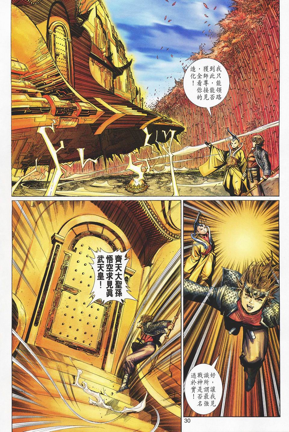 第 30 页
