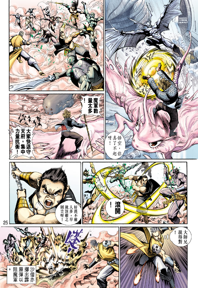第 25 页