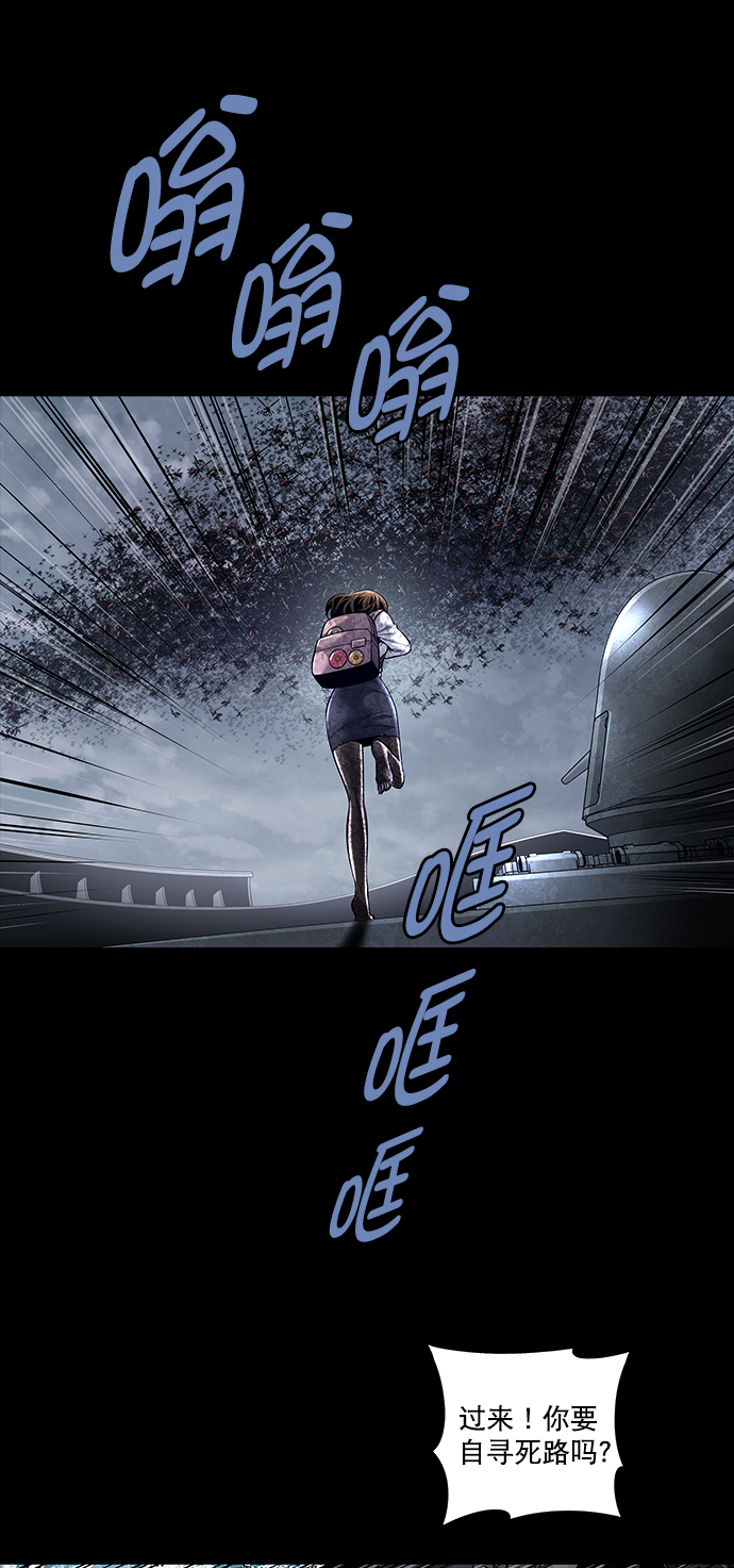 第 48 页
