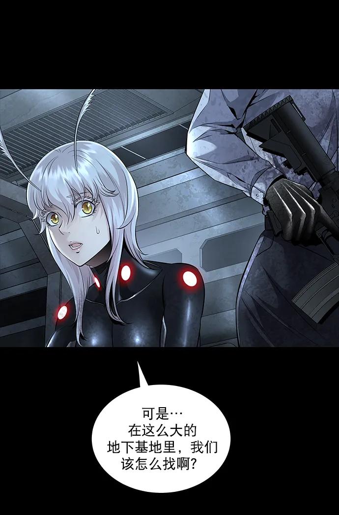 第 44 页