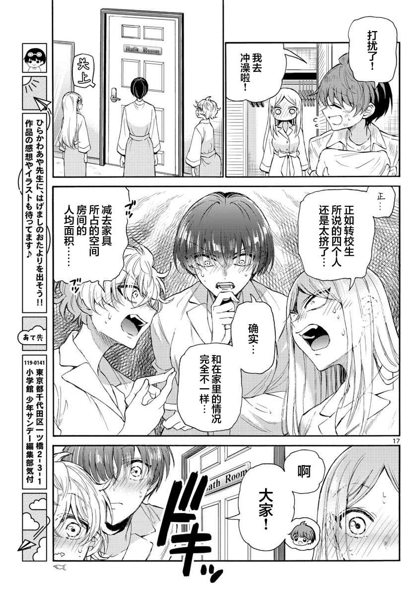 第 17 页