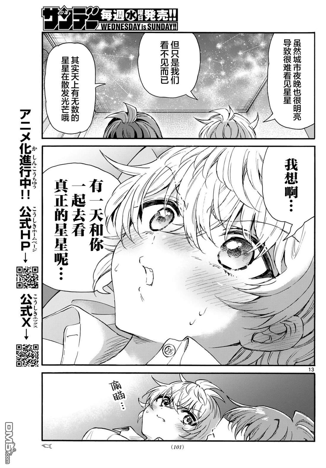 第 13 页