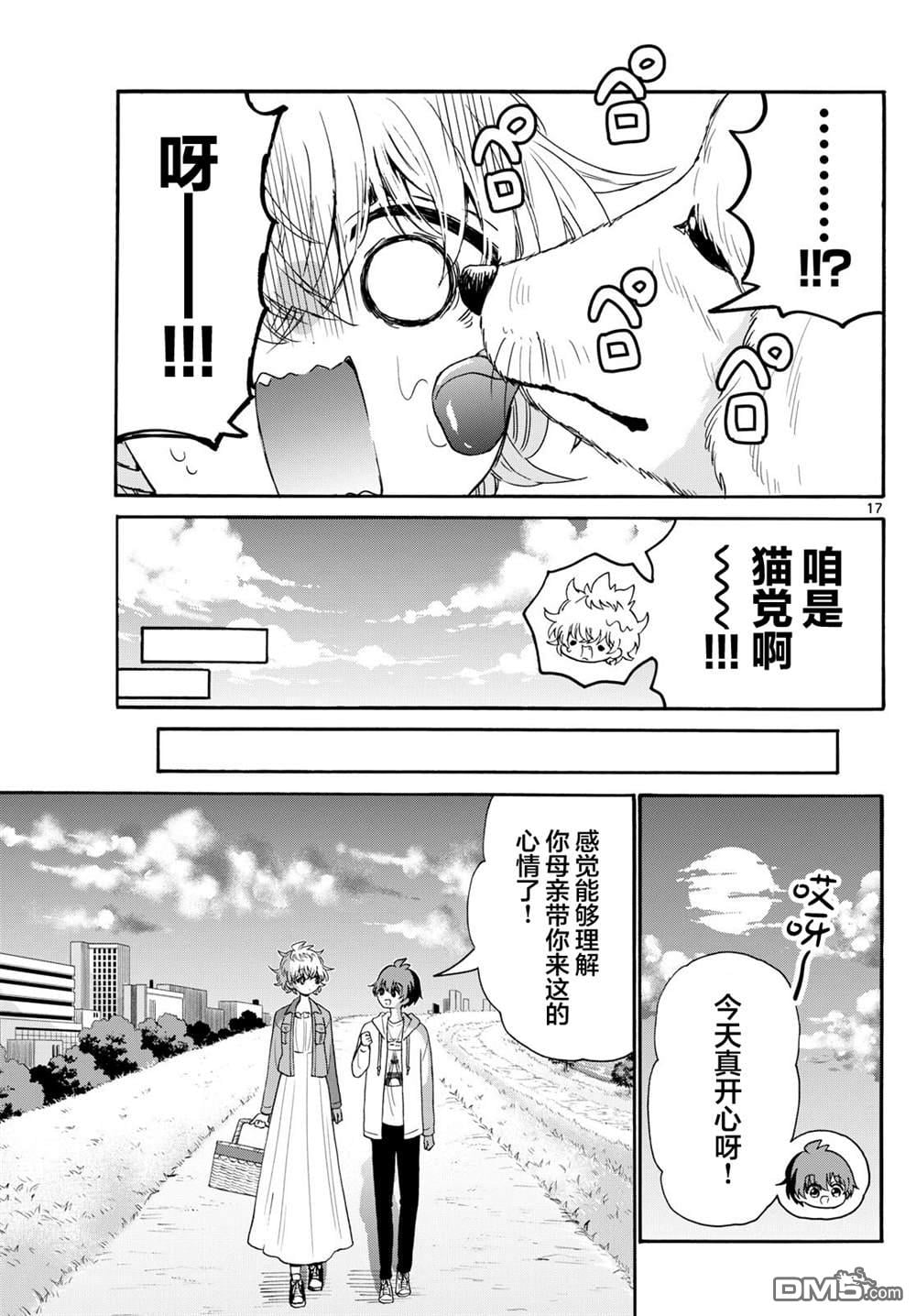 第 17 页