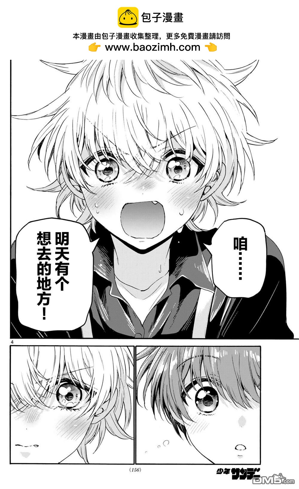 第 4 页