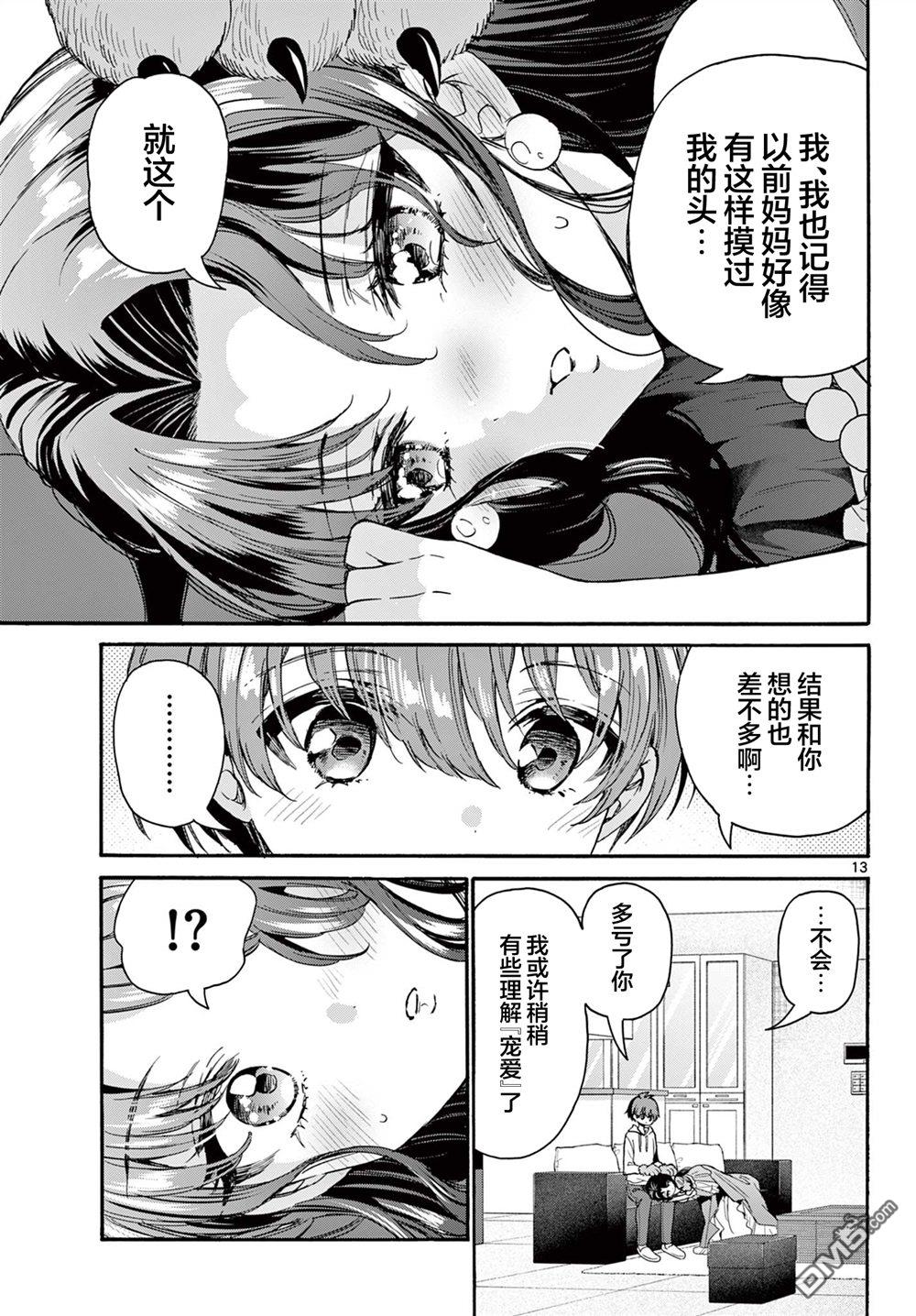 第 13 页