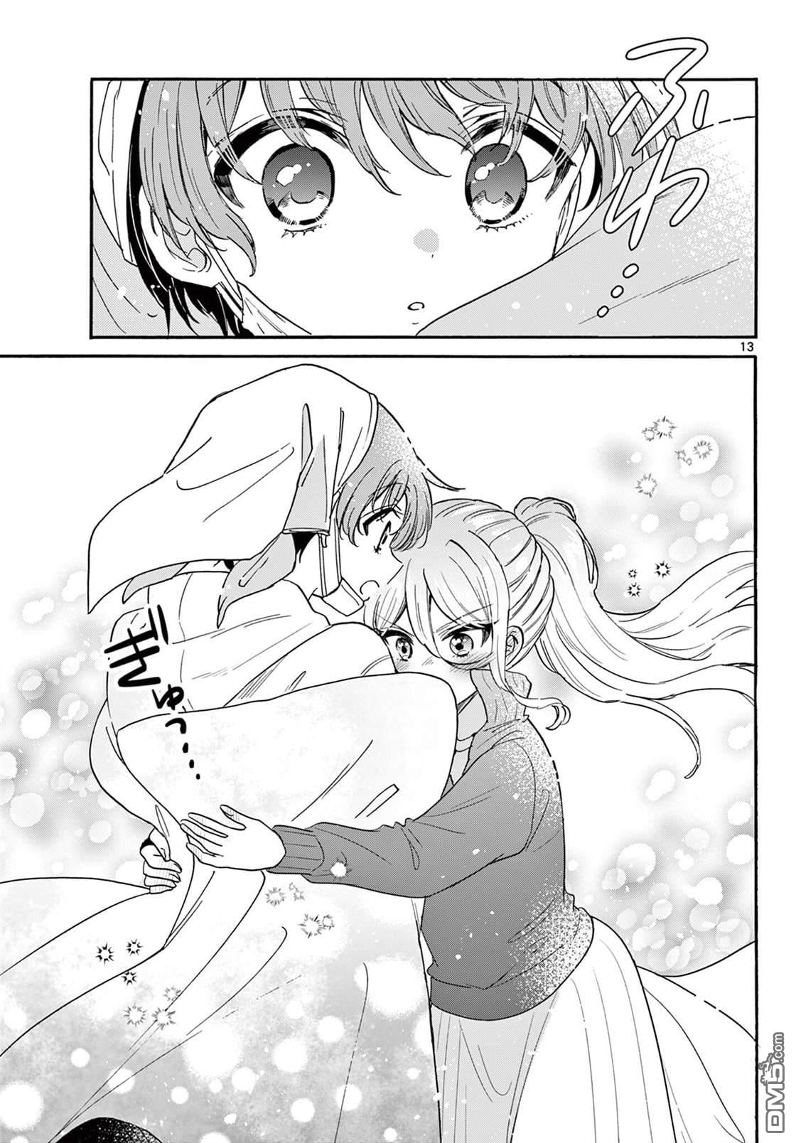 第 13 页