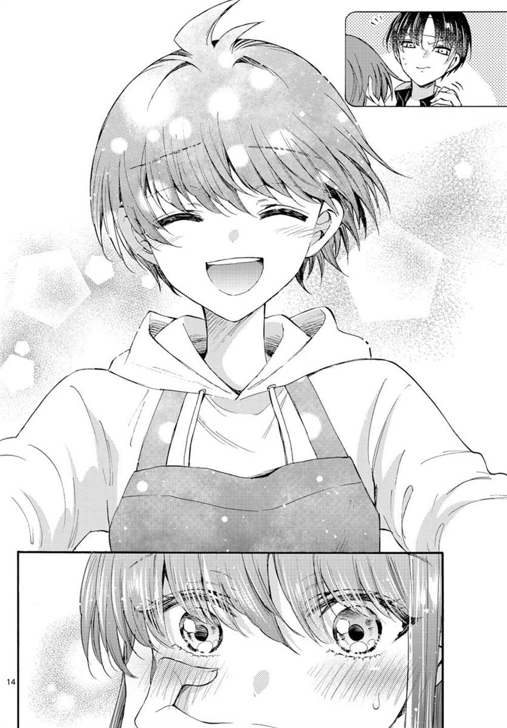第 14 页