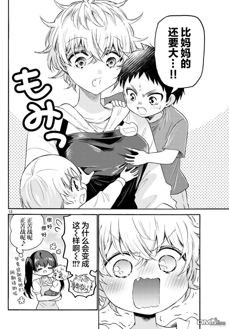 第 12 页
