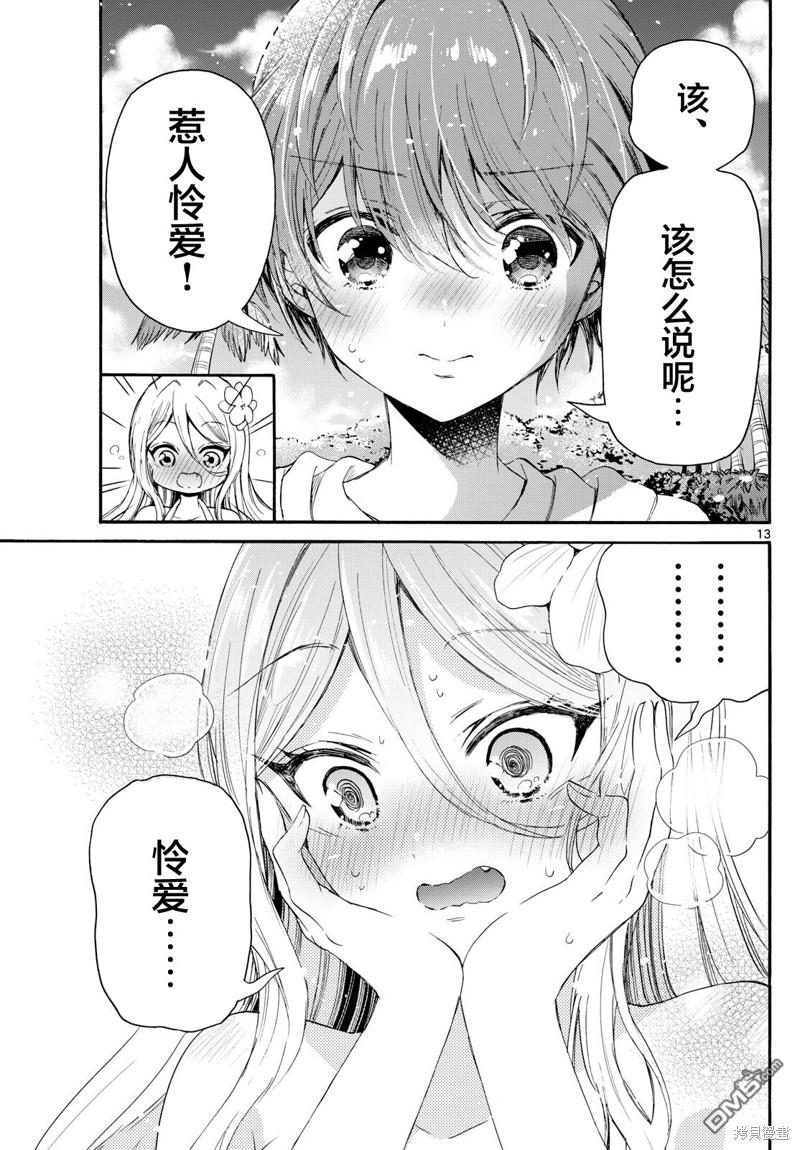 第 13 页