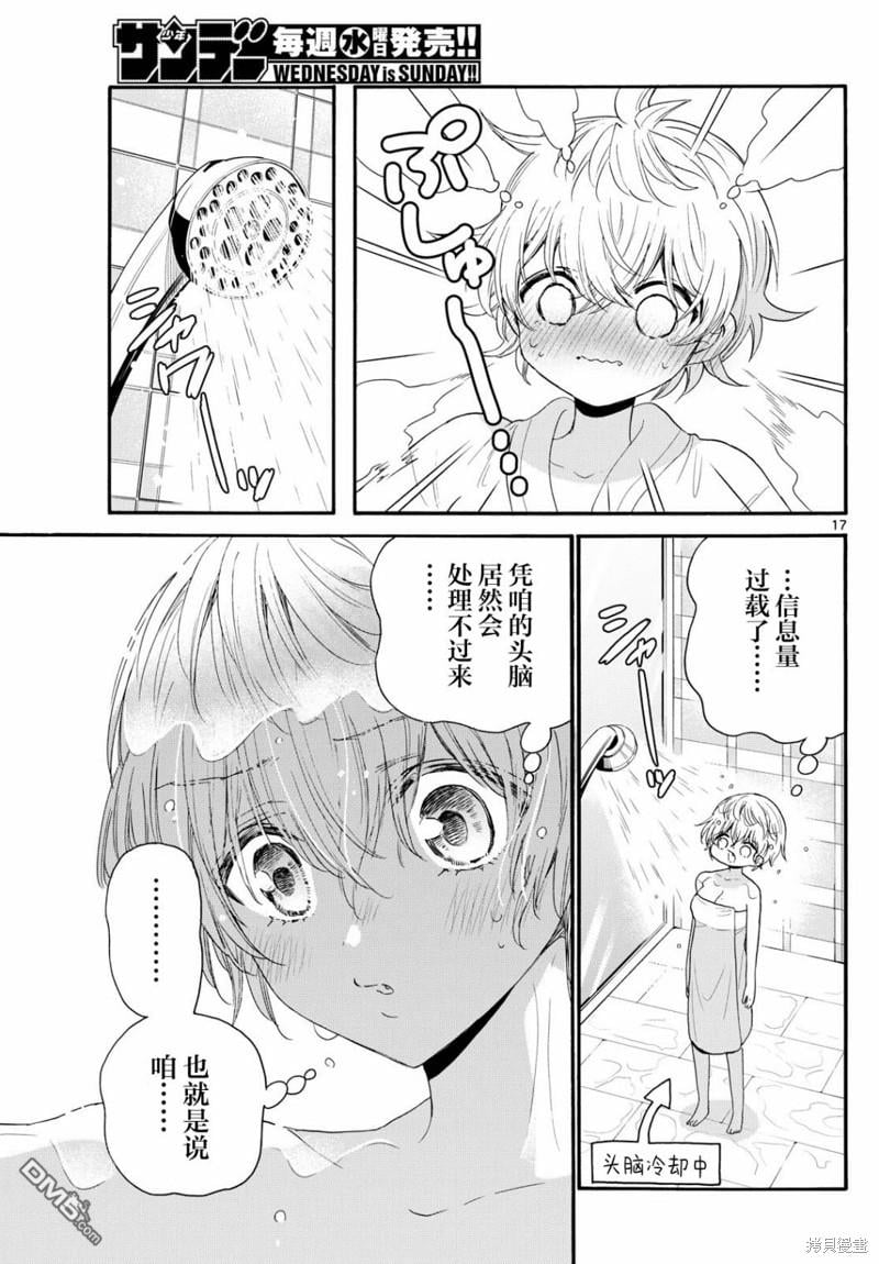 第 17 页