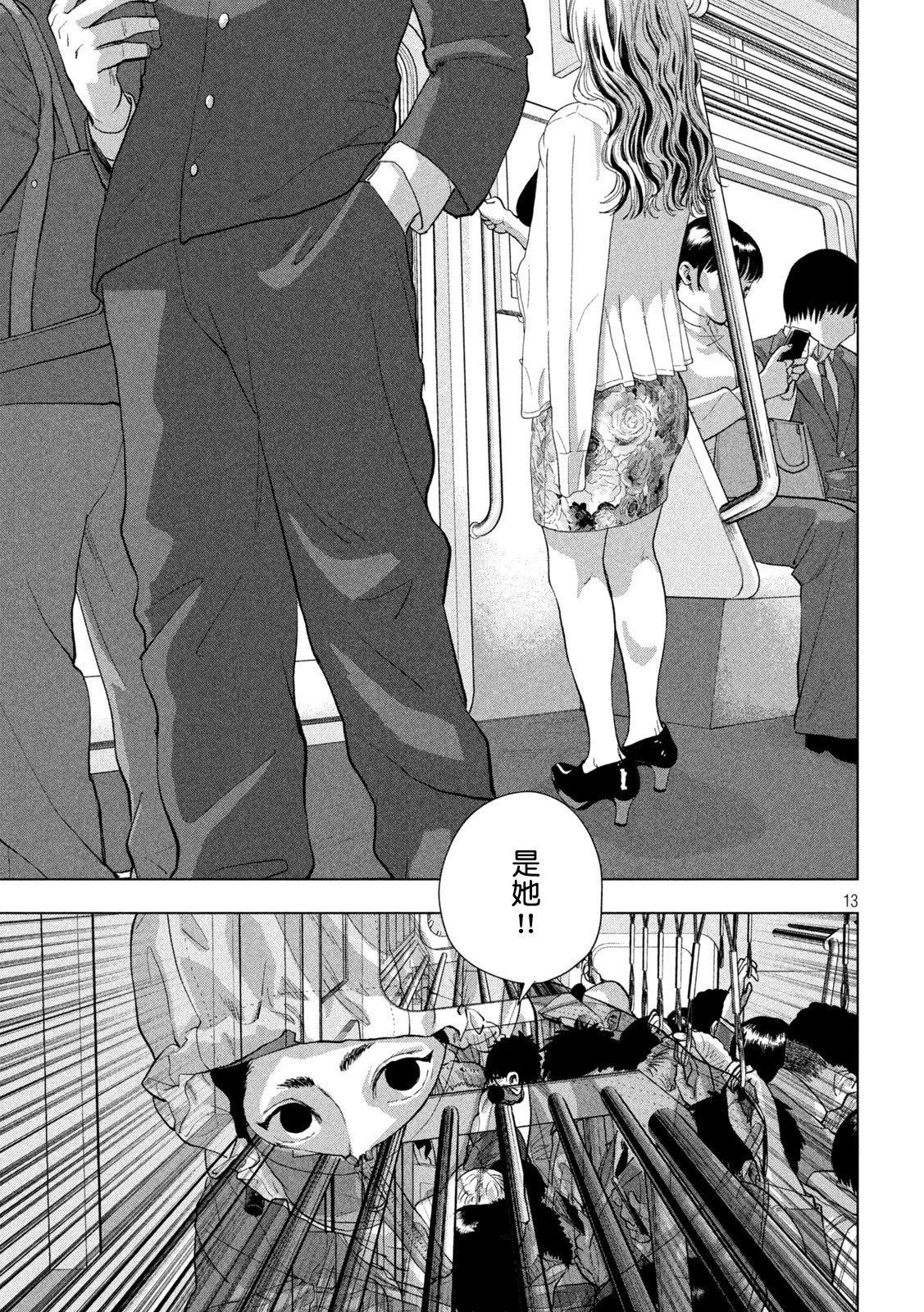 第 13 页