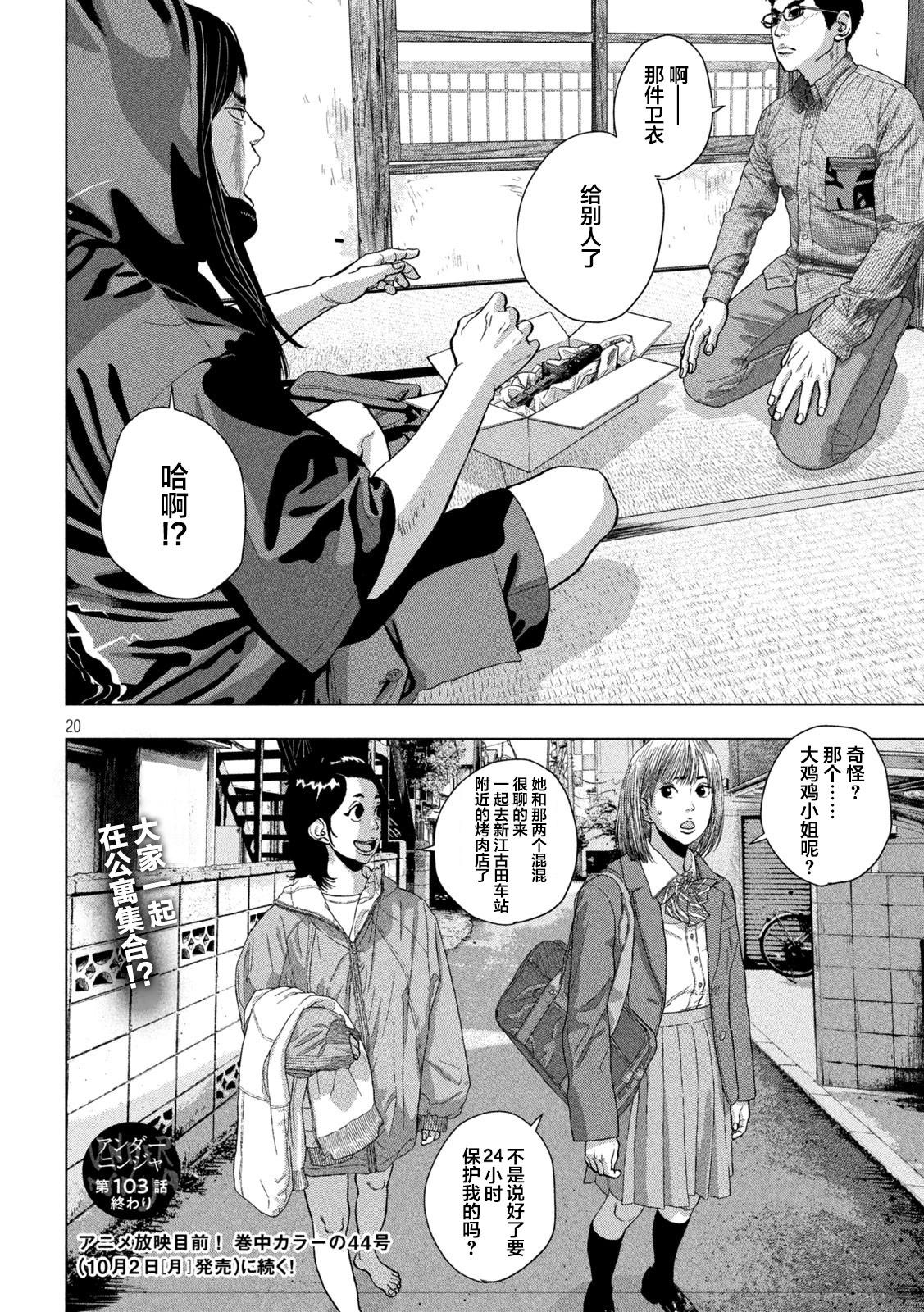 第 20 页