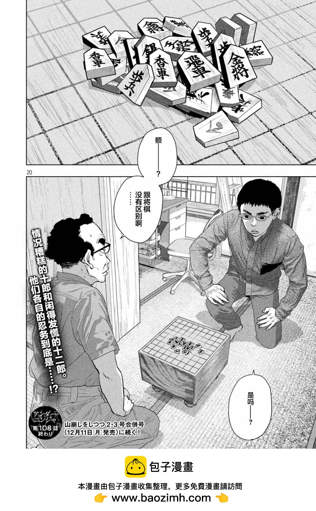 第 20 页